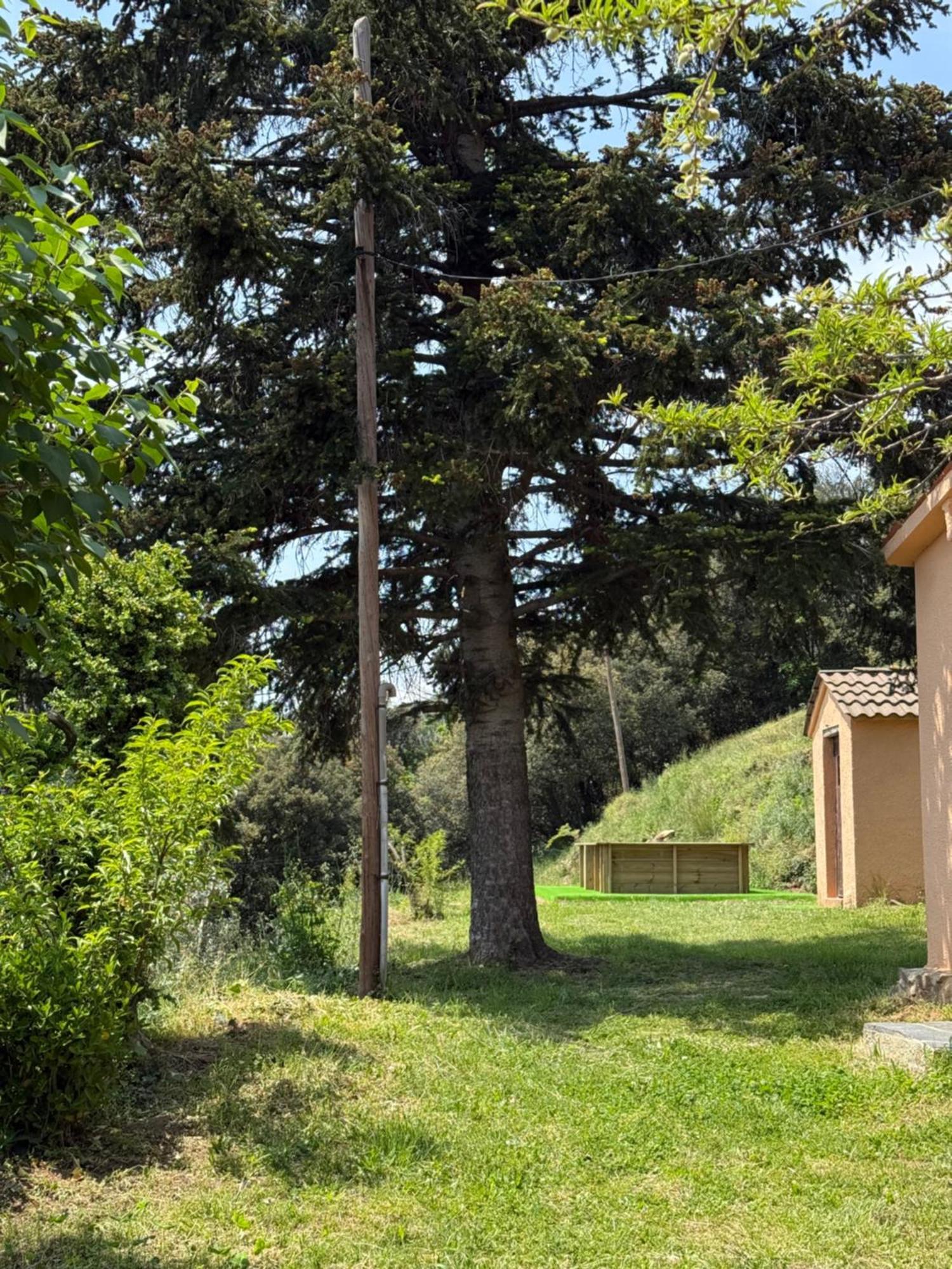 Casa Rural Cal Pages Montseny Exterior foto